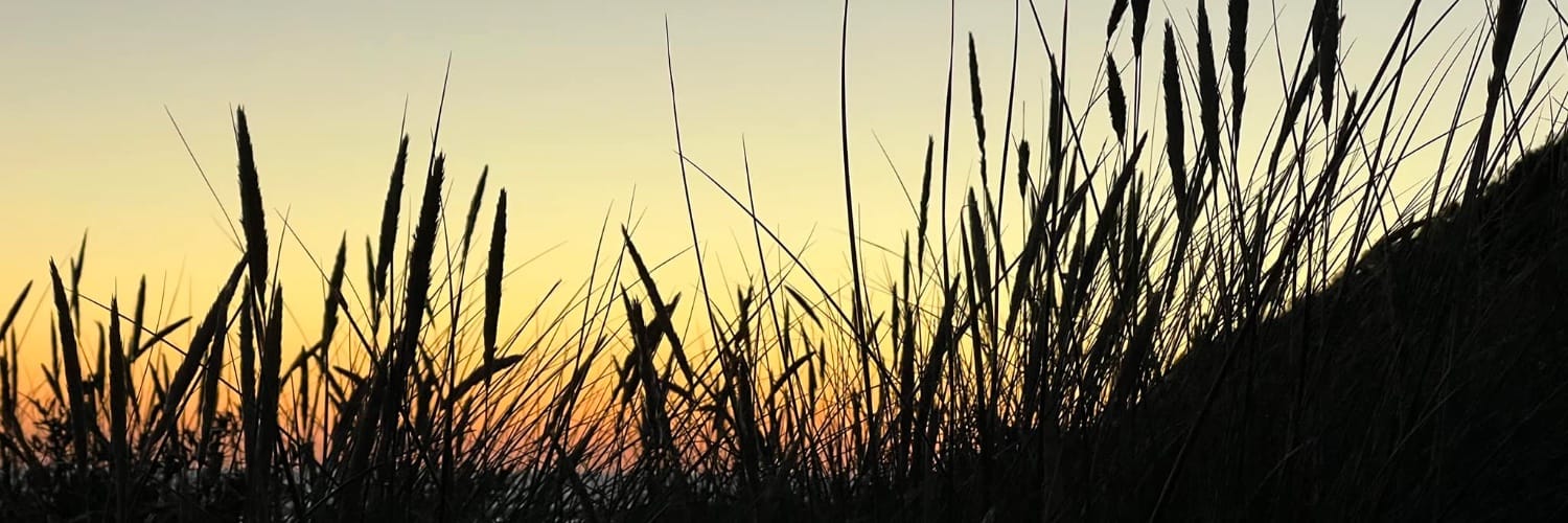 The price of freedom is eternal vigilance